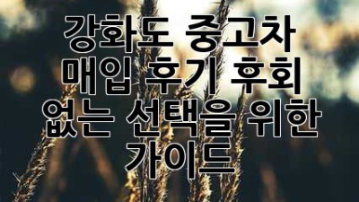강화도 중고차 매입 후기: 후회 없는 선택을 위한 가이드